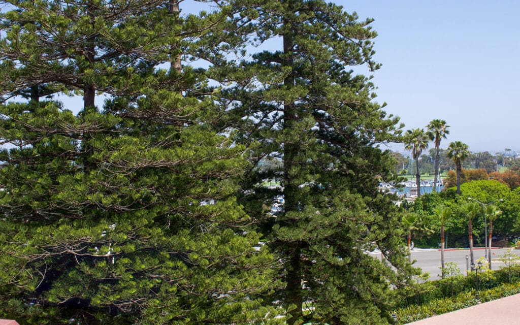 Resort View from Victorian Room